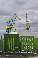 Export